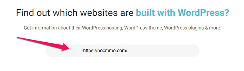 Tìm tên Theme và Plugin WordPress của một web bằng IsItWP